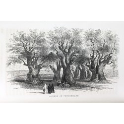 United States' Expedition to the River Jordan and the Dead Sea